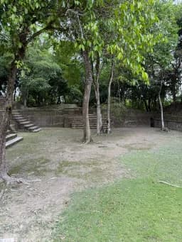 Forest Steps and Stone Ruins