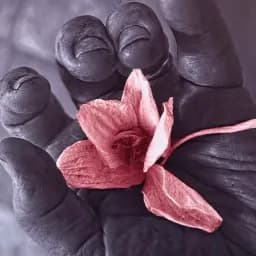 Orchid in a Gardener’s Hand