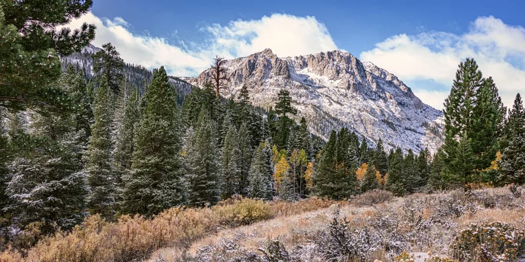 A Light Dusting