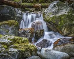 Waterfall Under Log