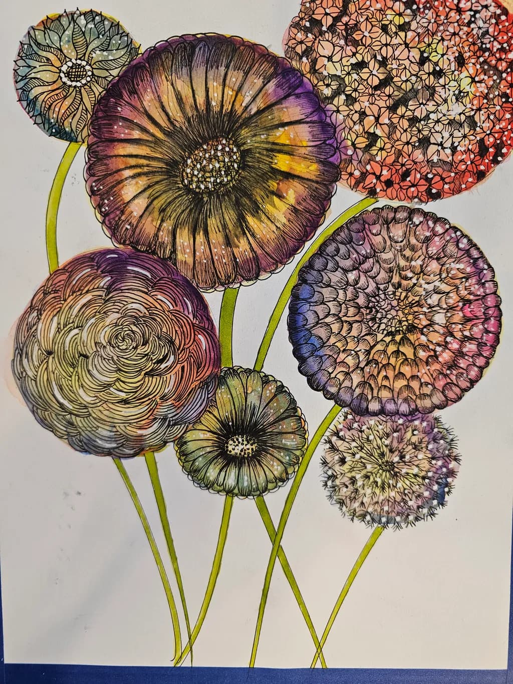 Circular Bloom Spectrum