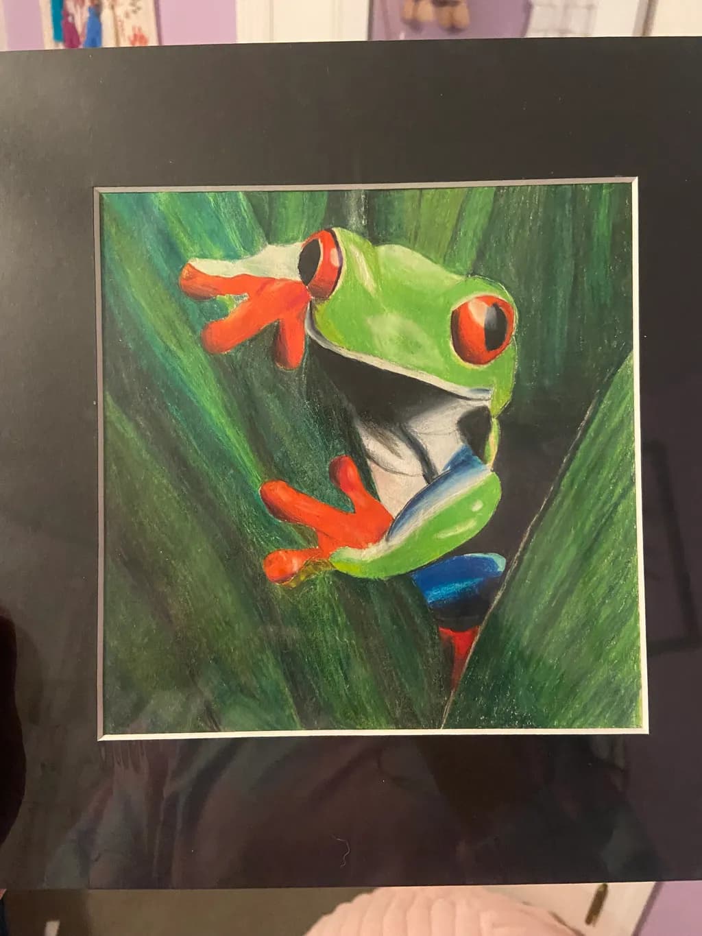 Red-Eyed Tree Frog