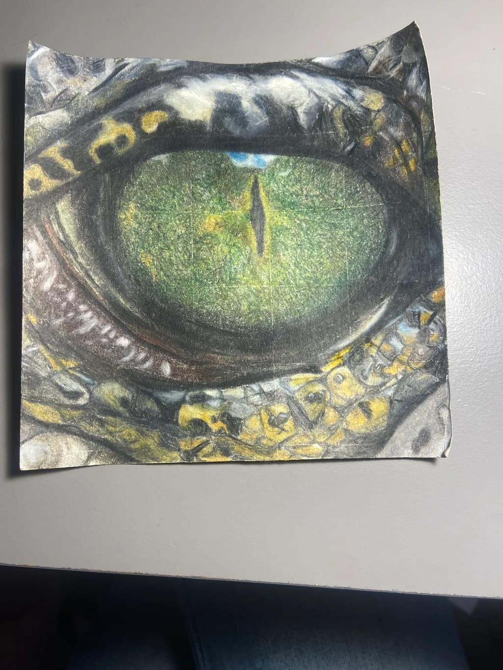 Reptile Eye Detail