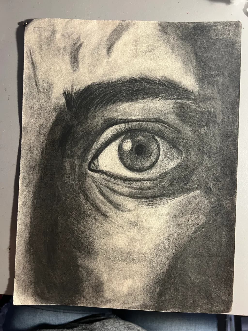 Human Eye Study