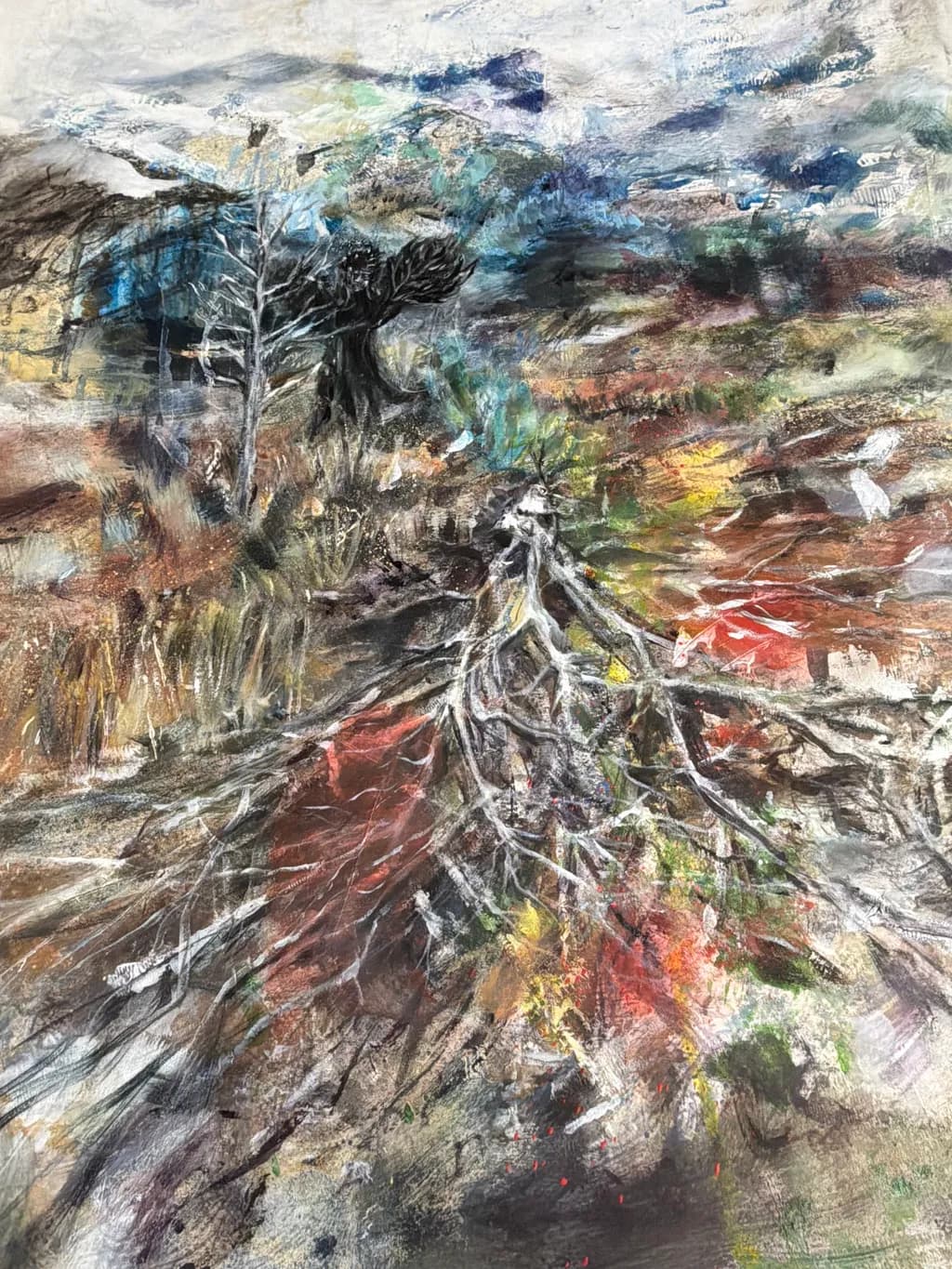 Rootscape Layers