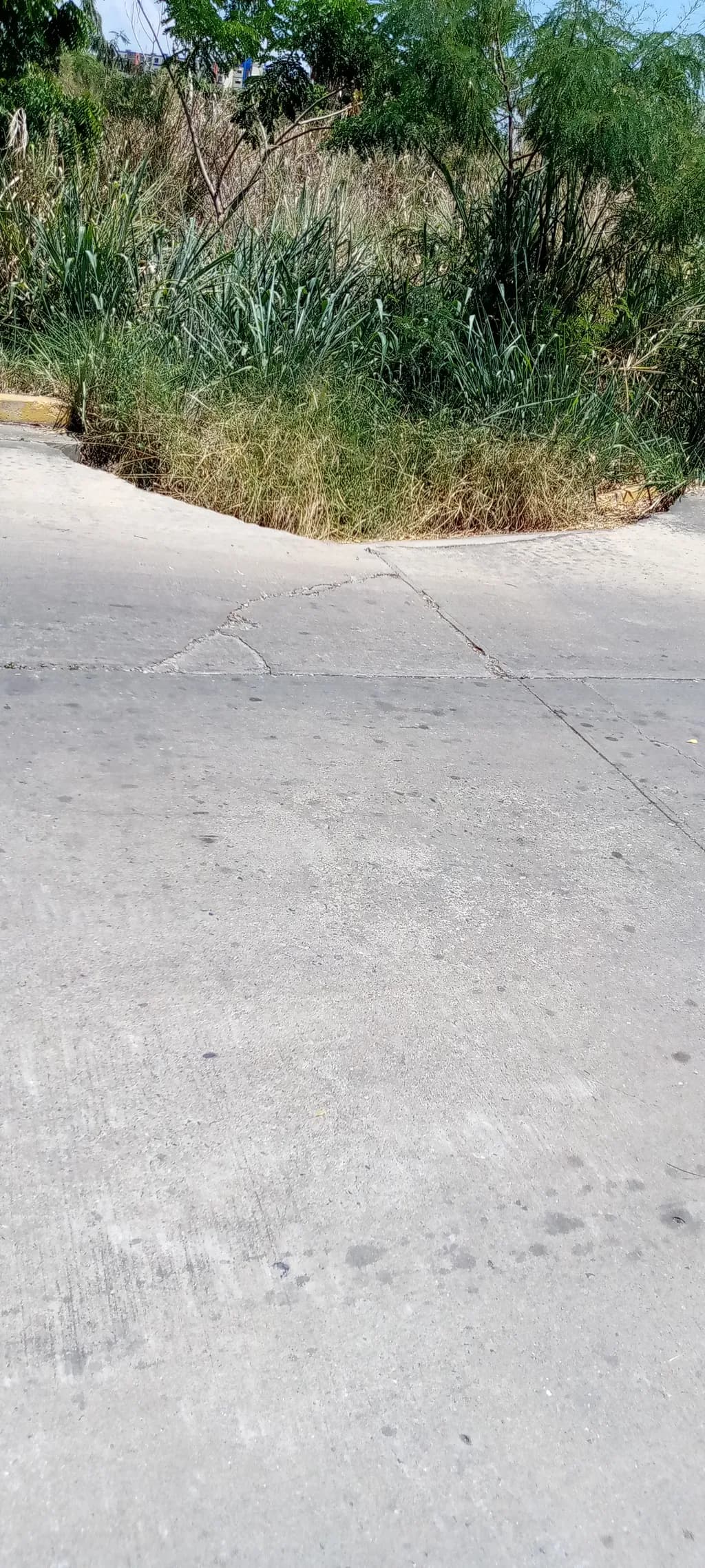 Concrete Edge