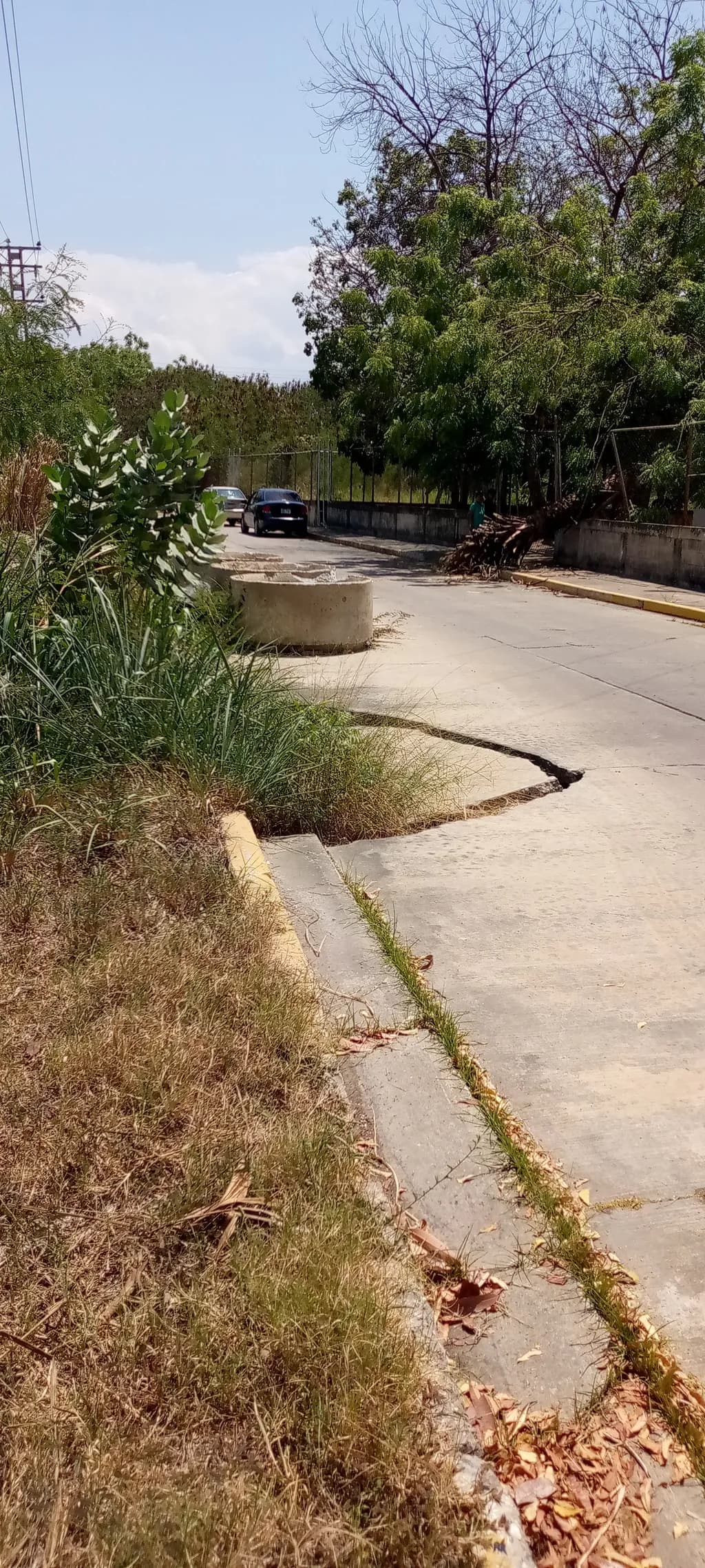 Overgrown Crack