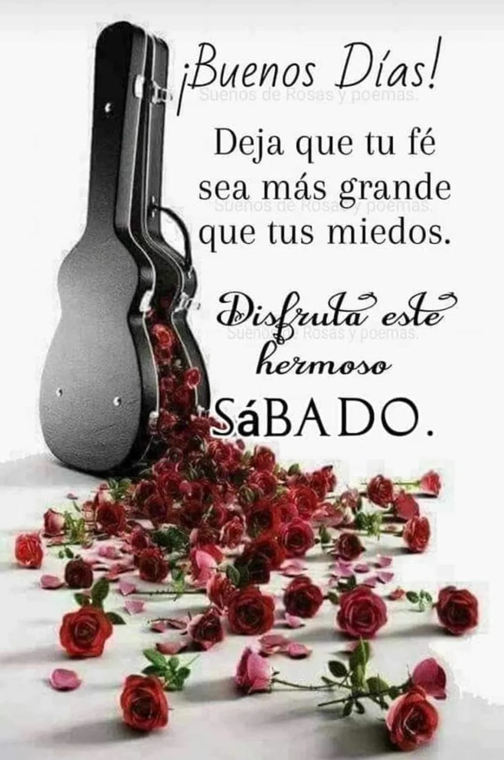 Saturday Faith Roses