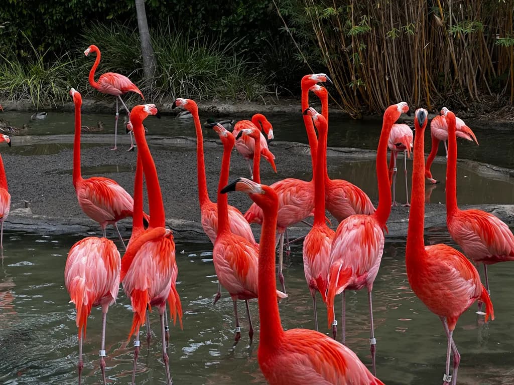 Flamingo Assembly