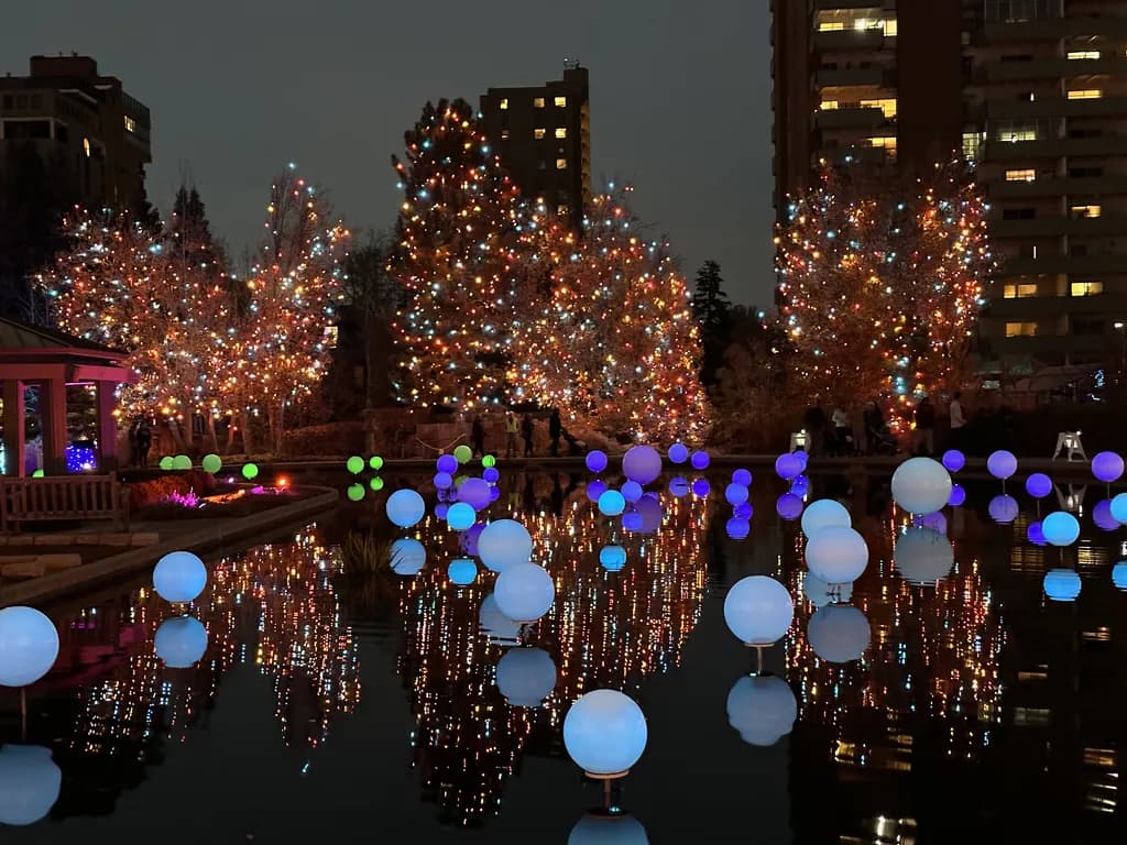 Luminous Reflections