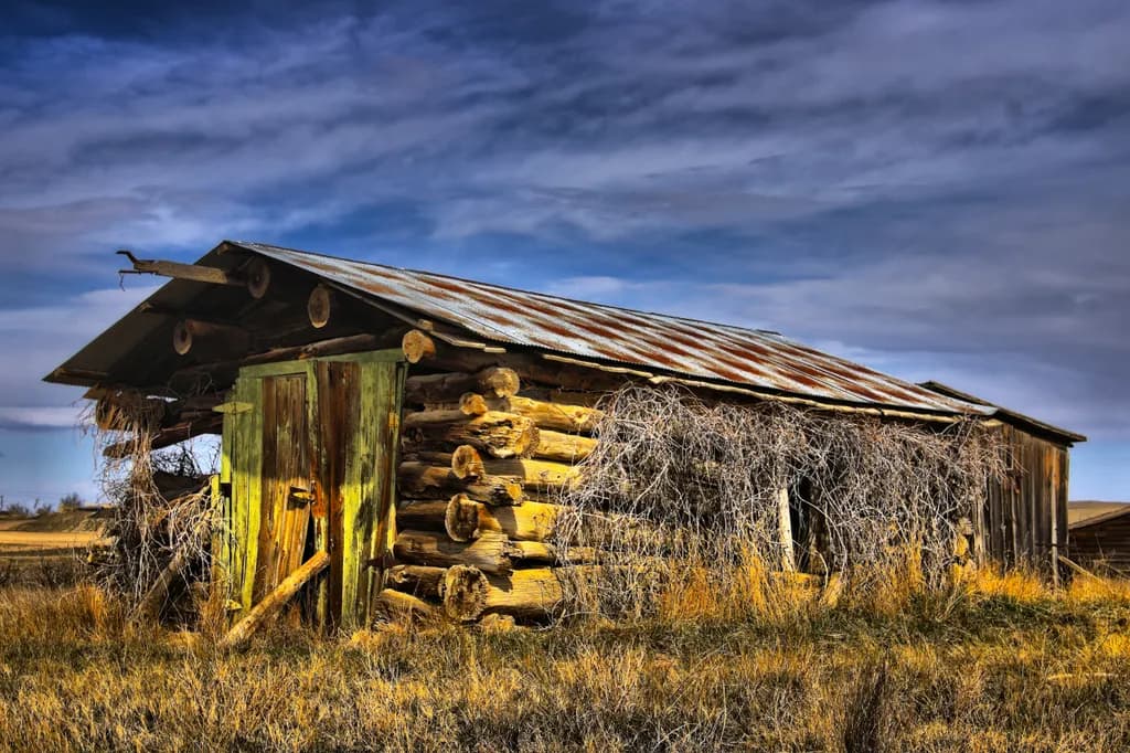 Buffalo Trail Cabin