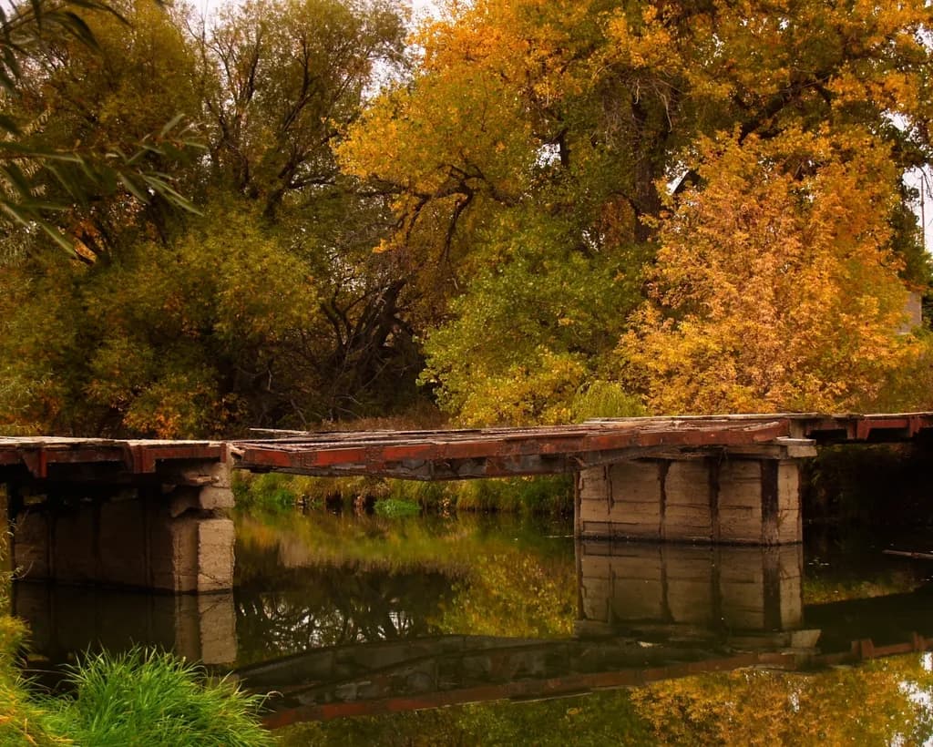 Old Bridge Over Poudre River
