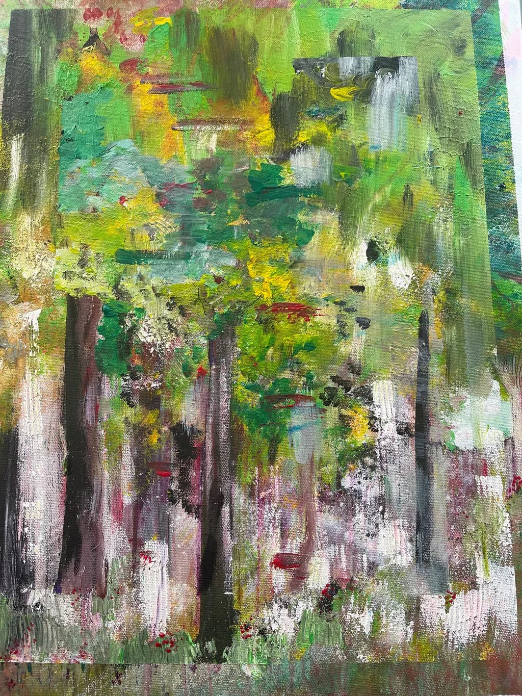 Forest Fragments
