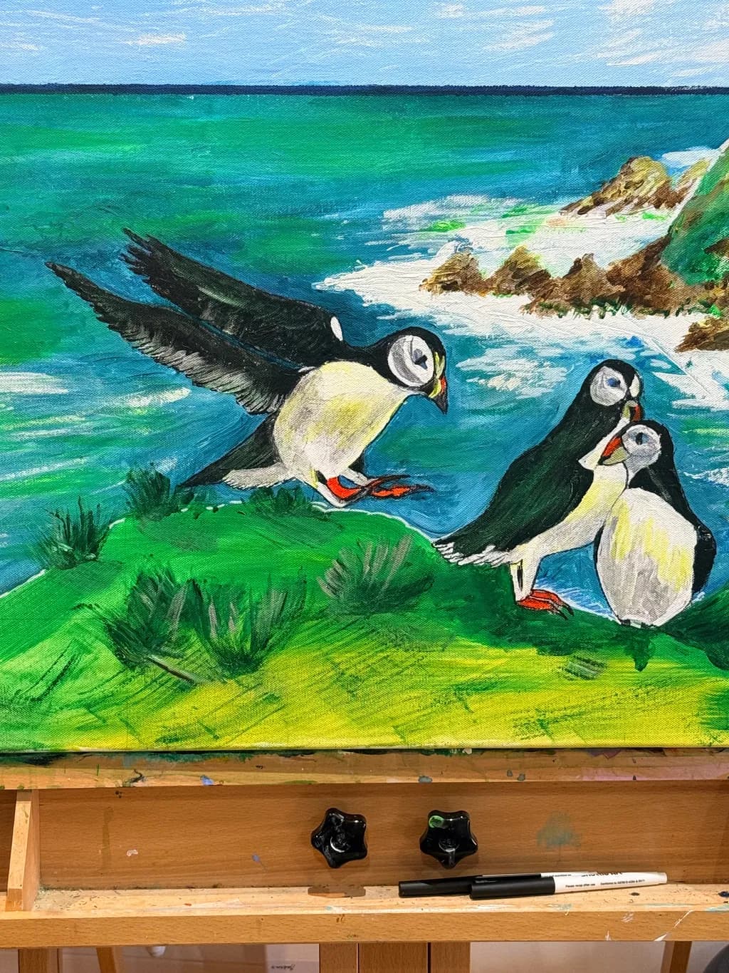 Coastal Puffins