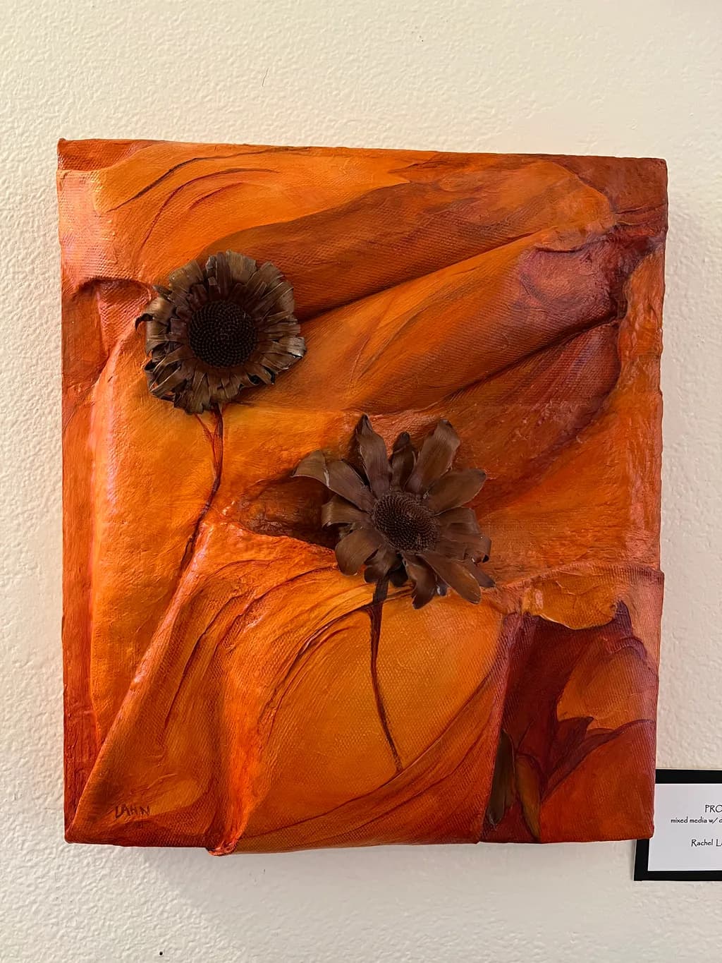 Sunflower Texture