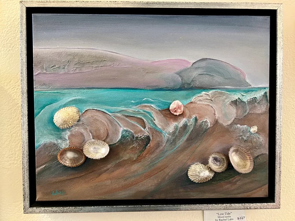 Low Tide Shellscape