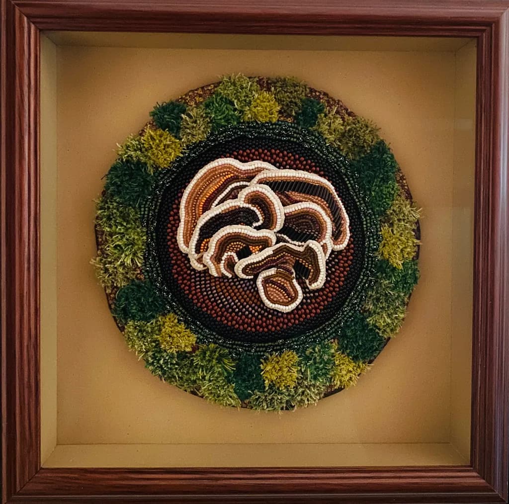 Forest Mushroom Circle