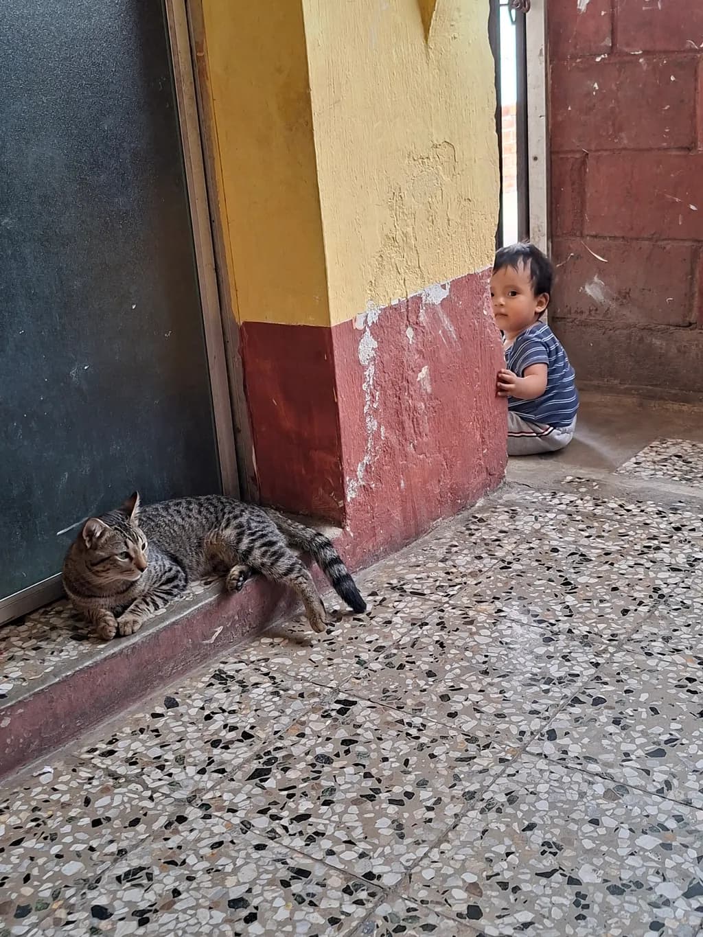 Quiet Companions