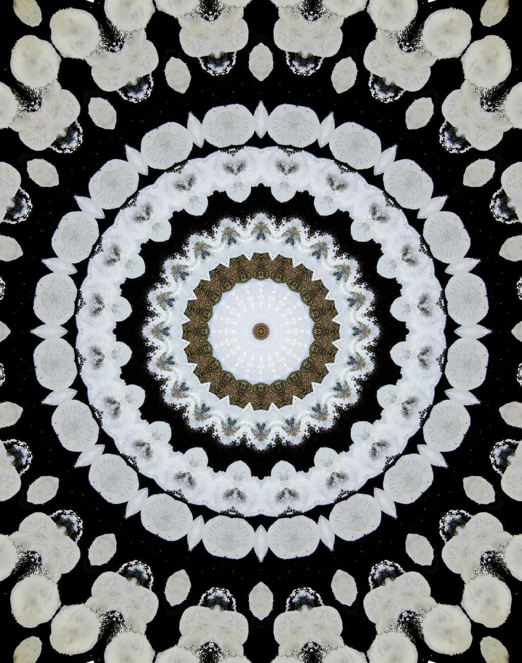 Mushroom Mandala