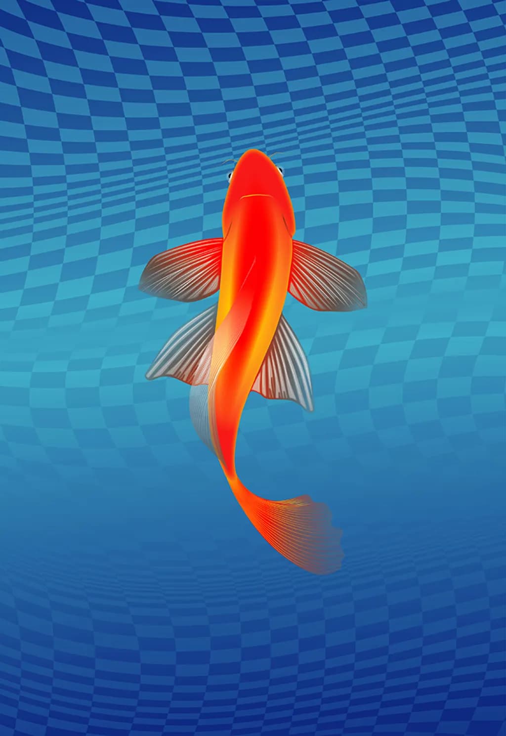 Koi Fish