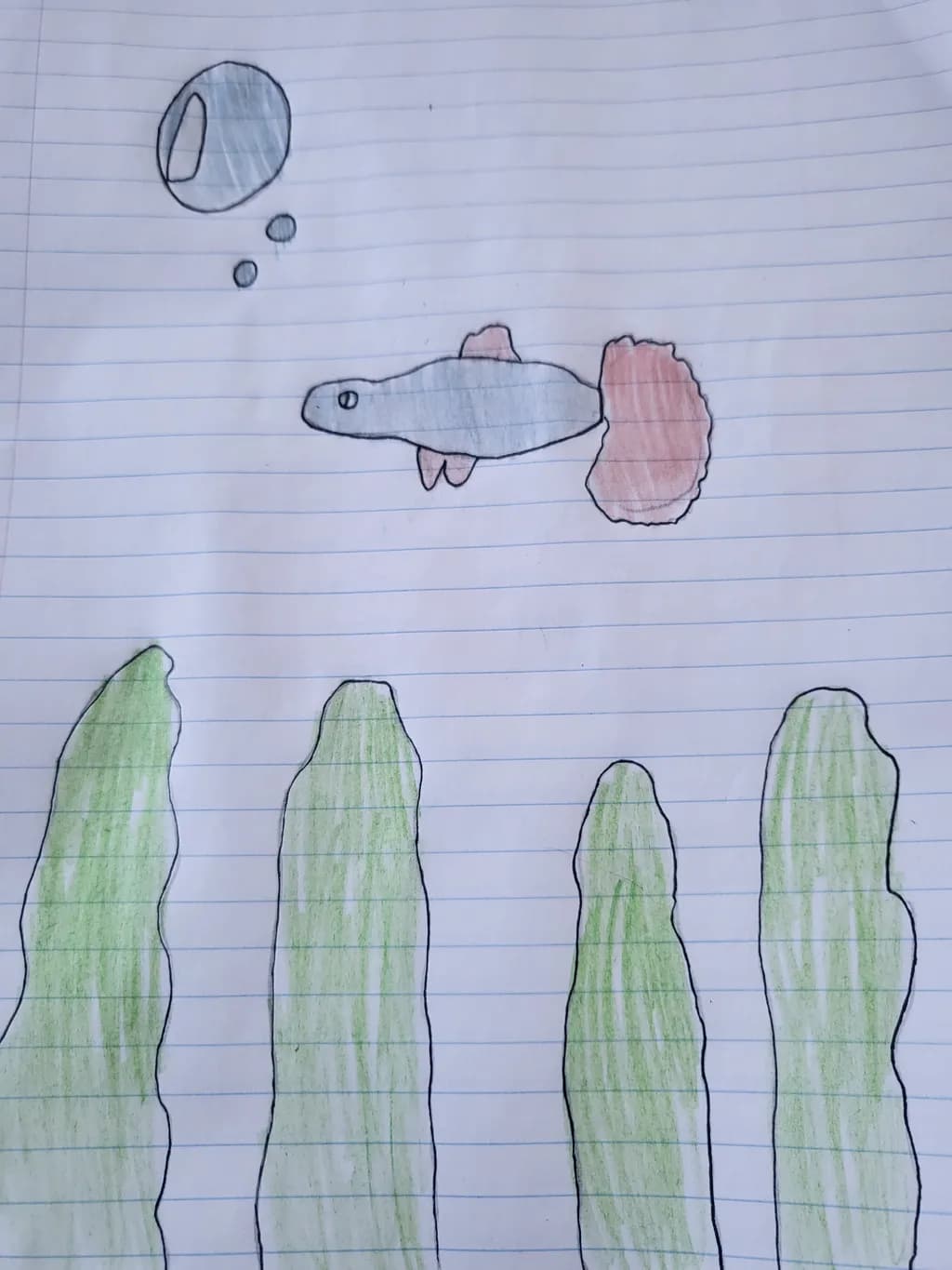 Bubble Blowing Fish