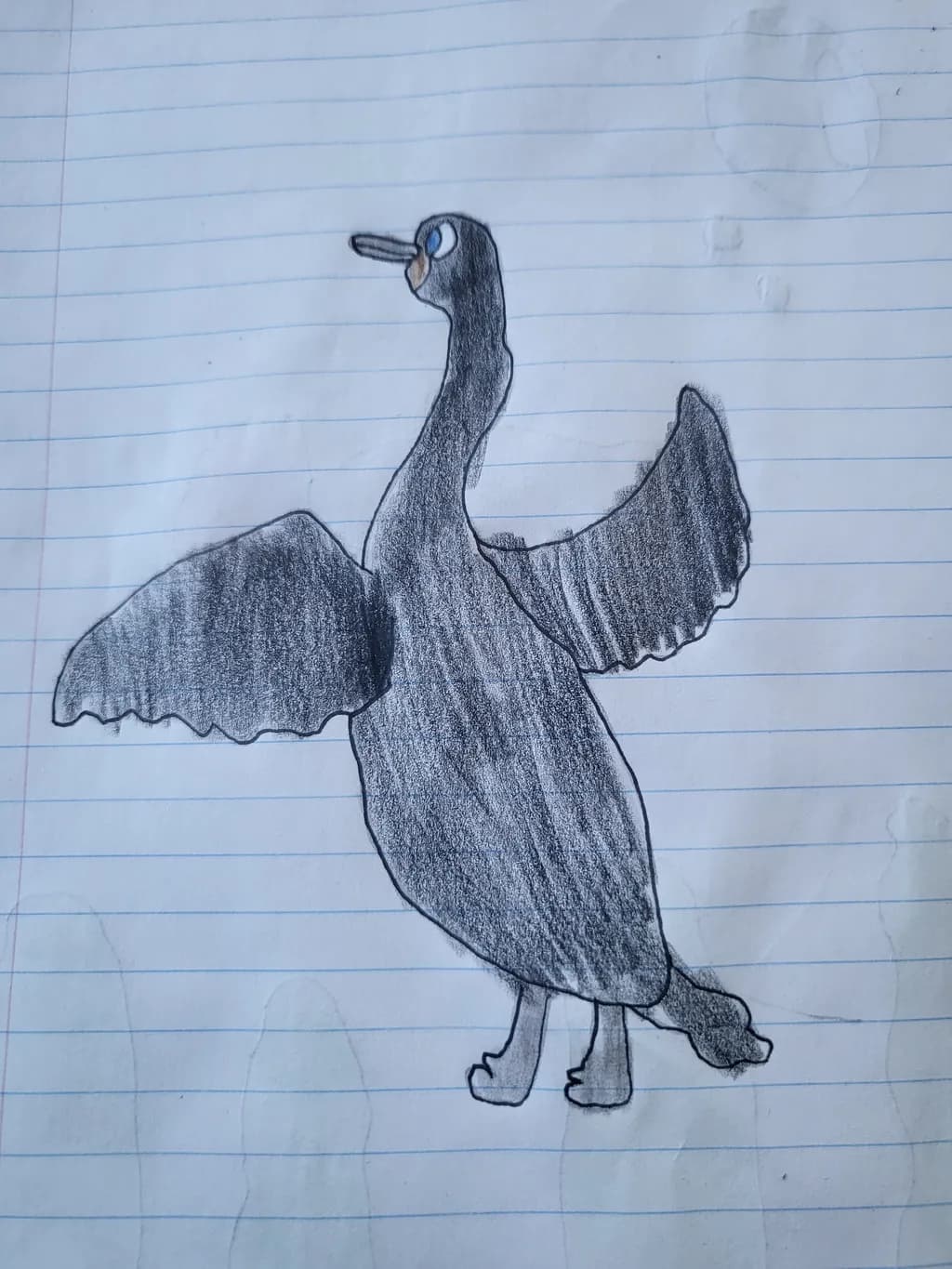 Spreading Wings