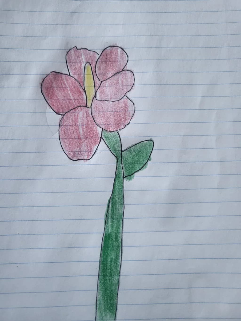 Pink Stem Bloom