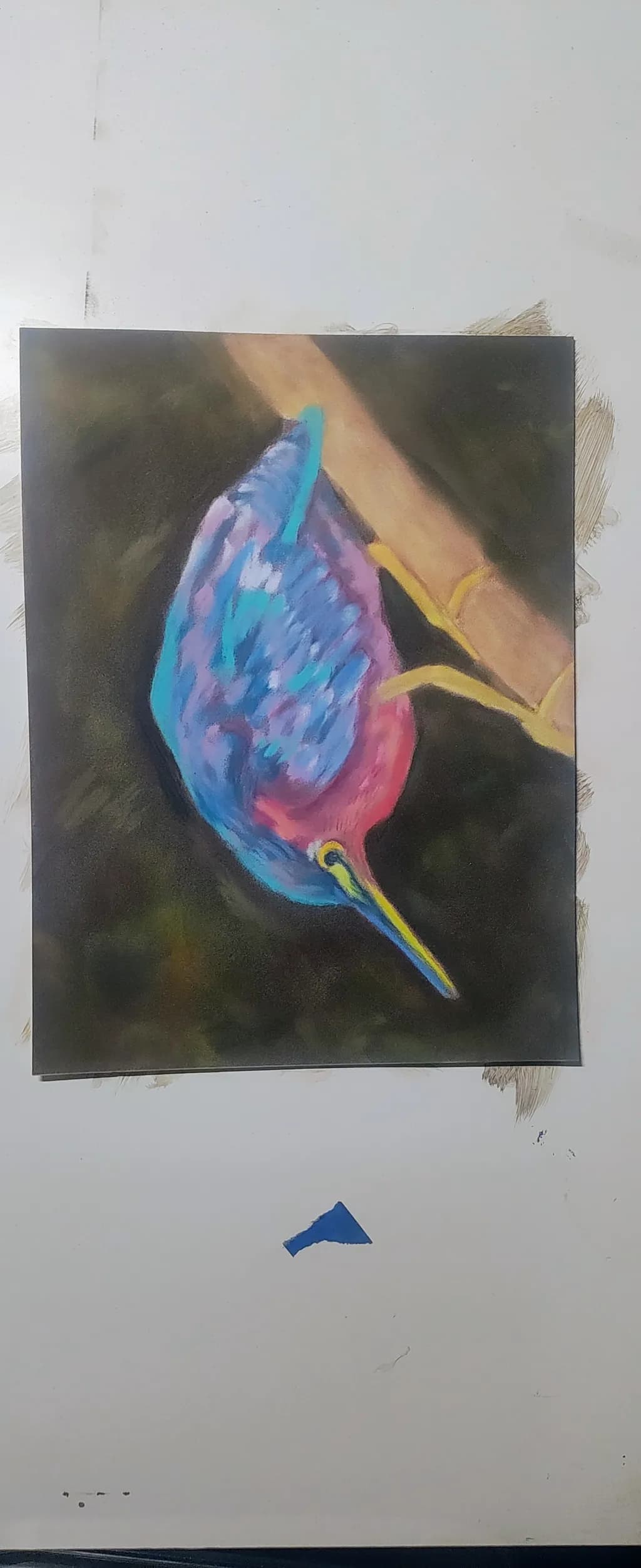 Colorful Kingfisher on Branch