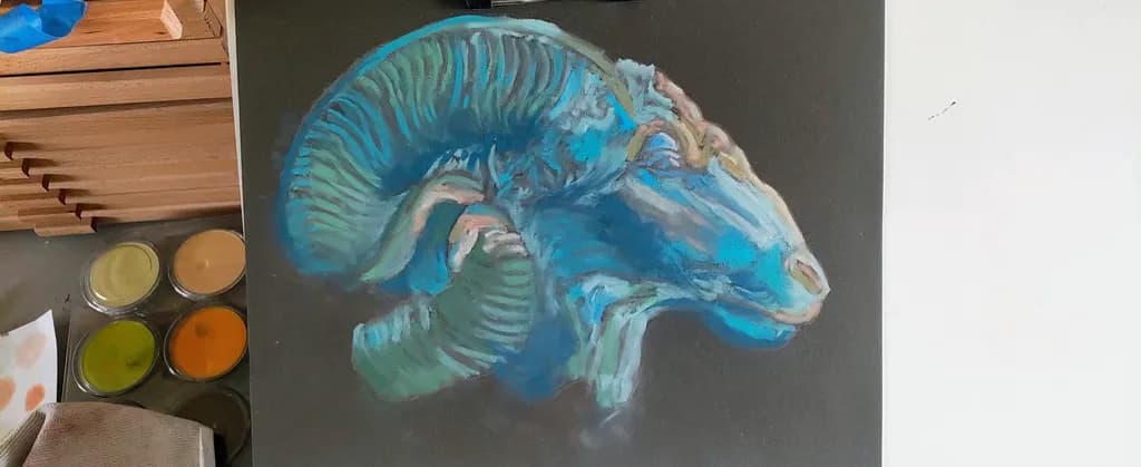 Blue Ram Study