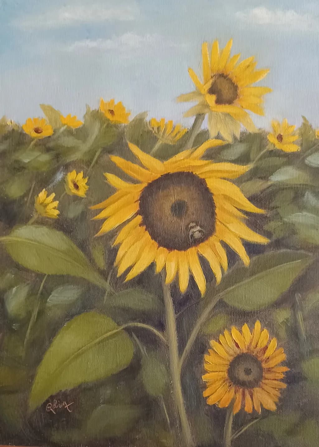 Sunflower Field