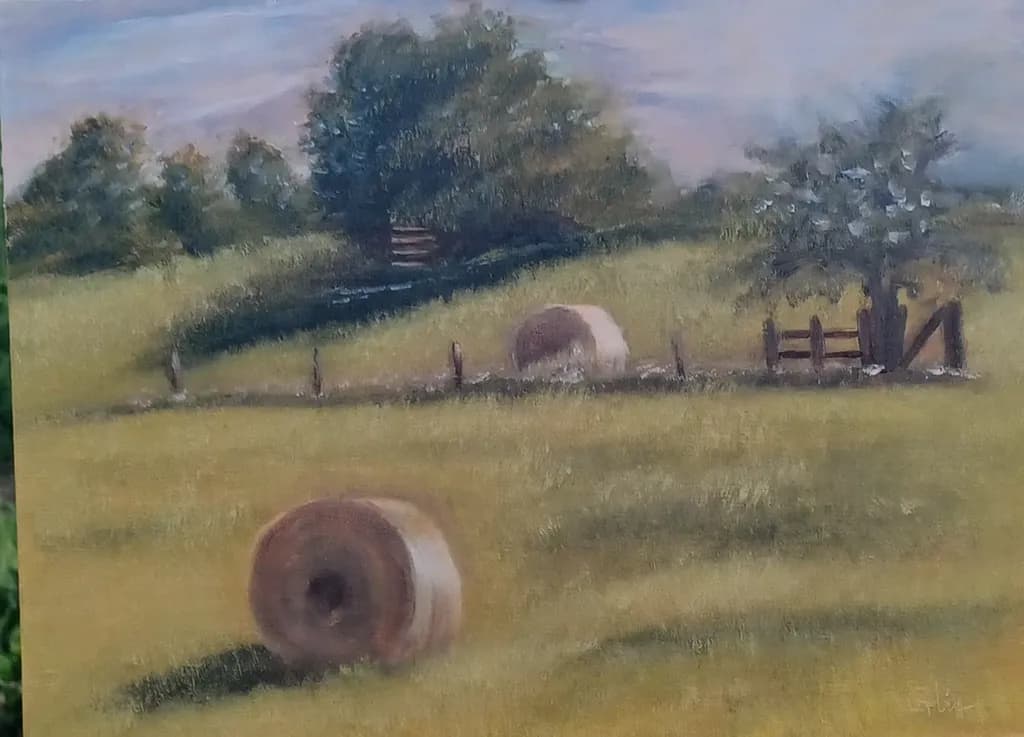 Hay Bales in Meadow