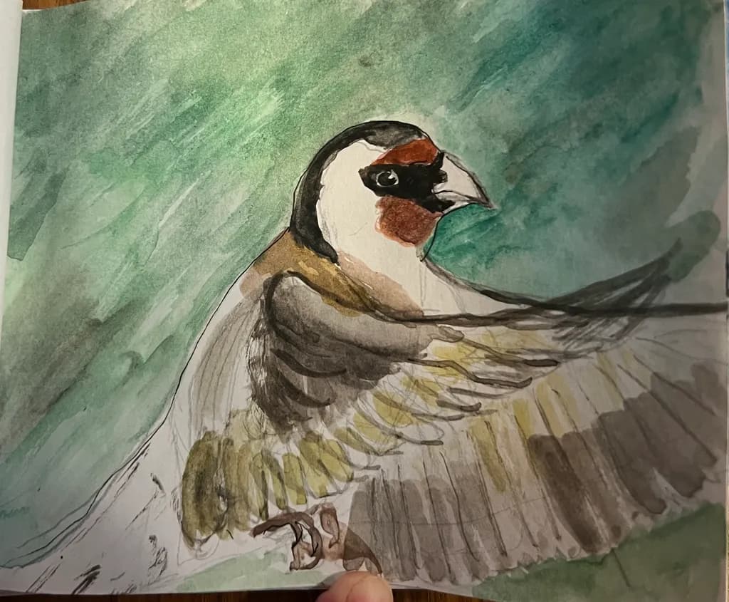 Winged Goldfinch