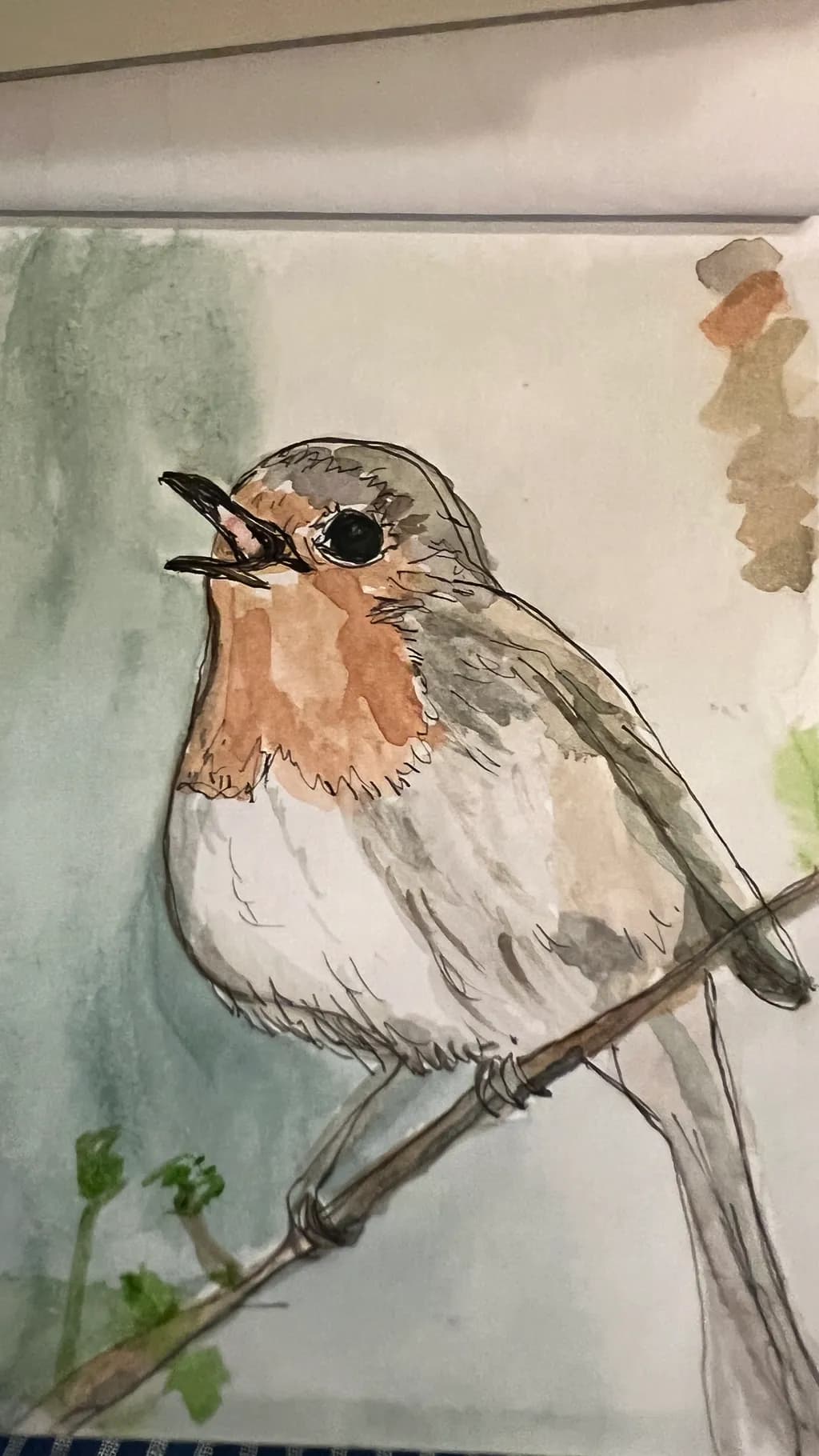Singing Robin