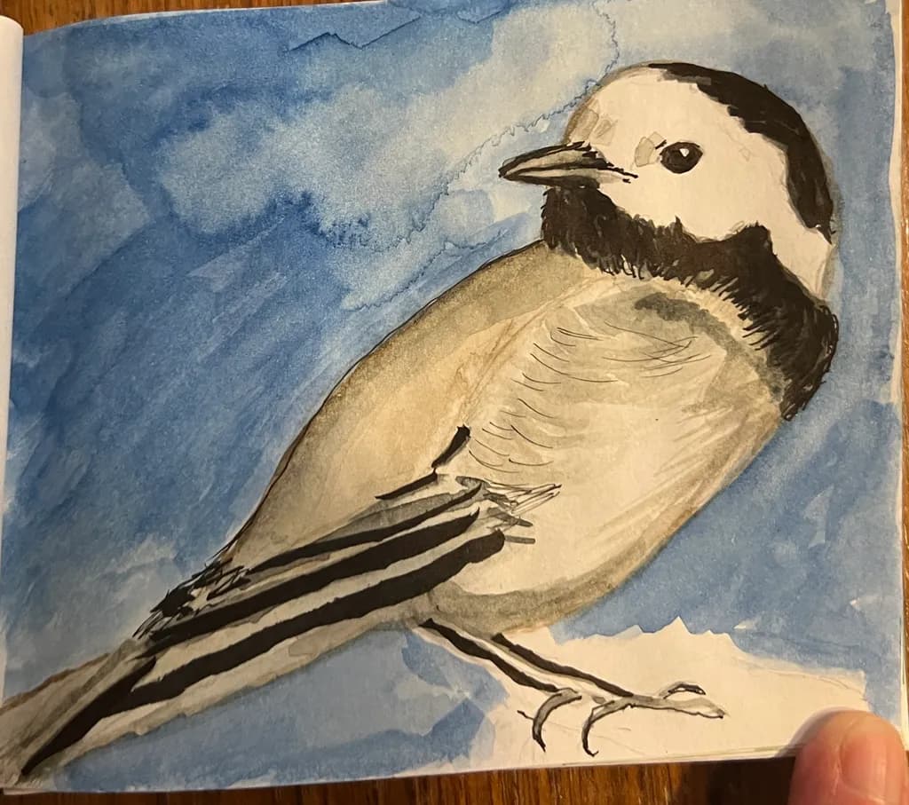 Black-capped Bird