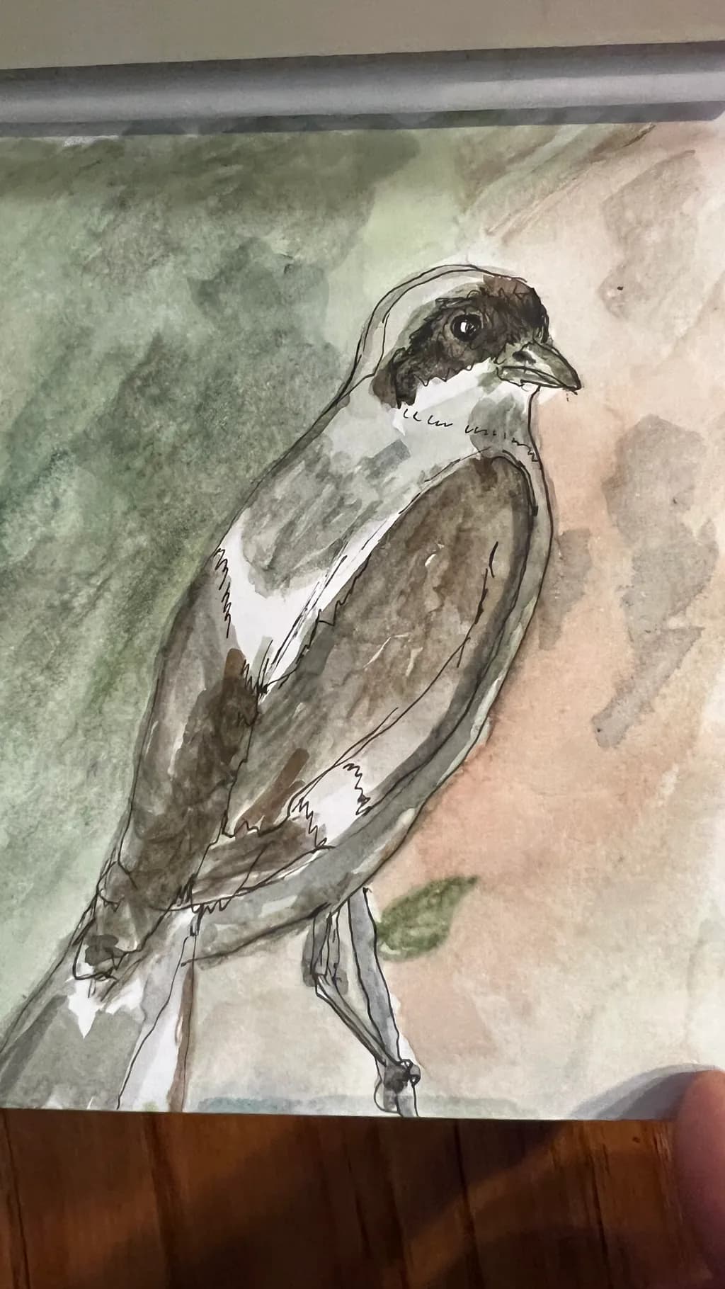 Brown Bird Portrait