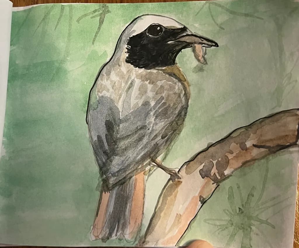 Bird on Branch