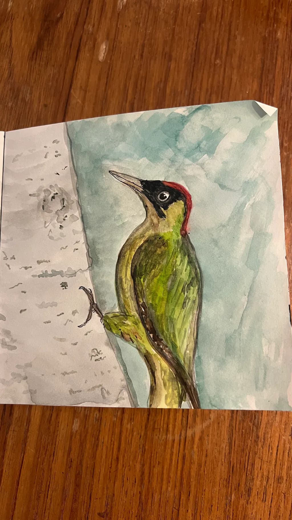 Woodpecker on Bark