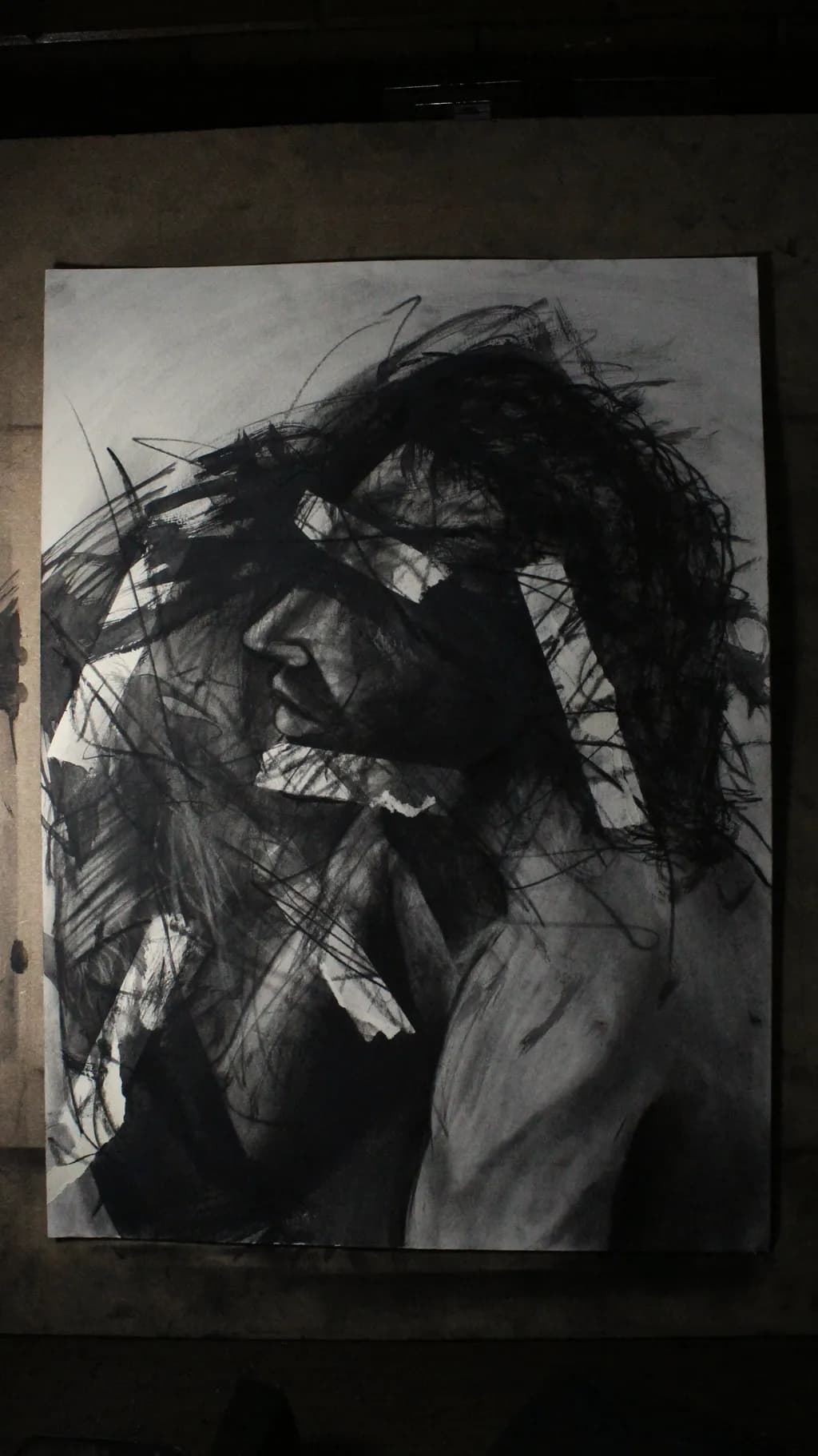 Fractured Silhouette