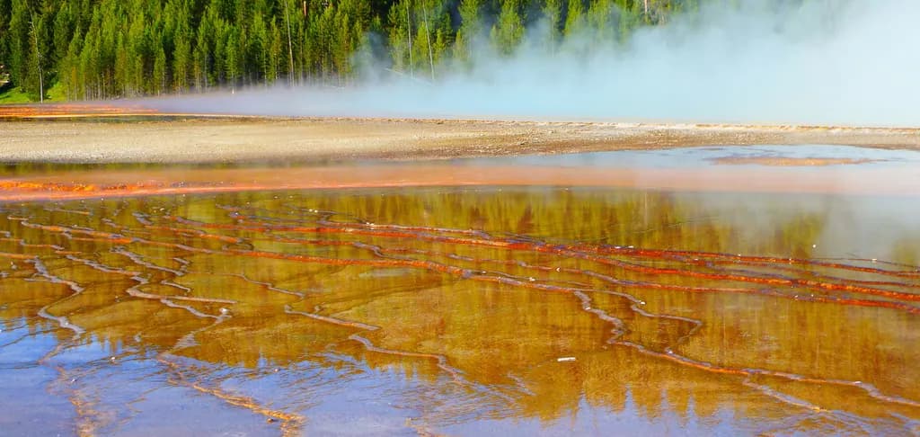One Reflections