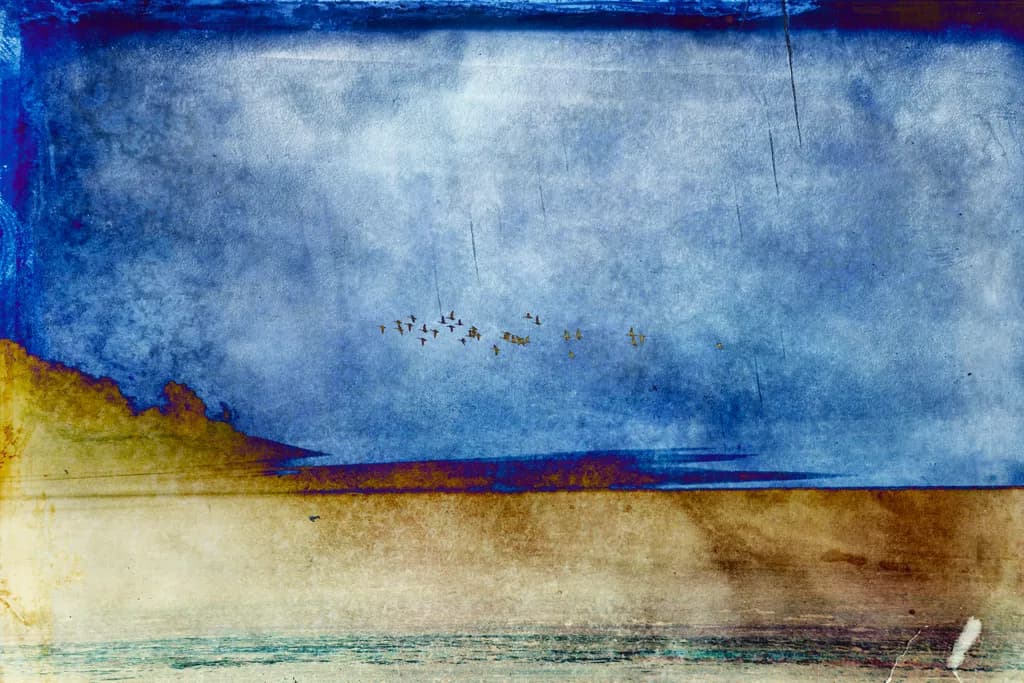 Birds Fly Over Horizon