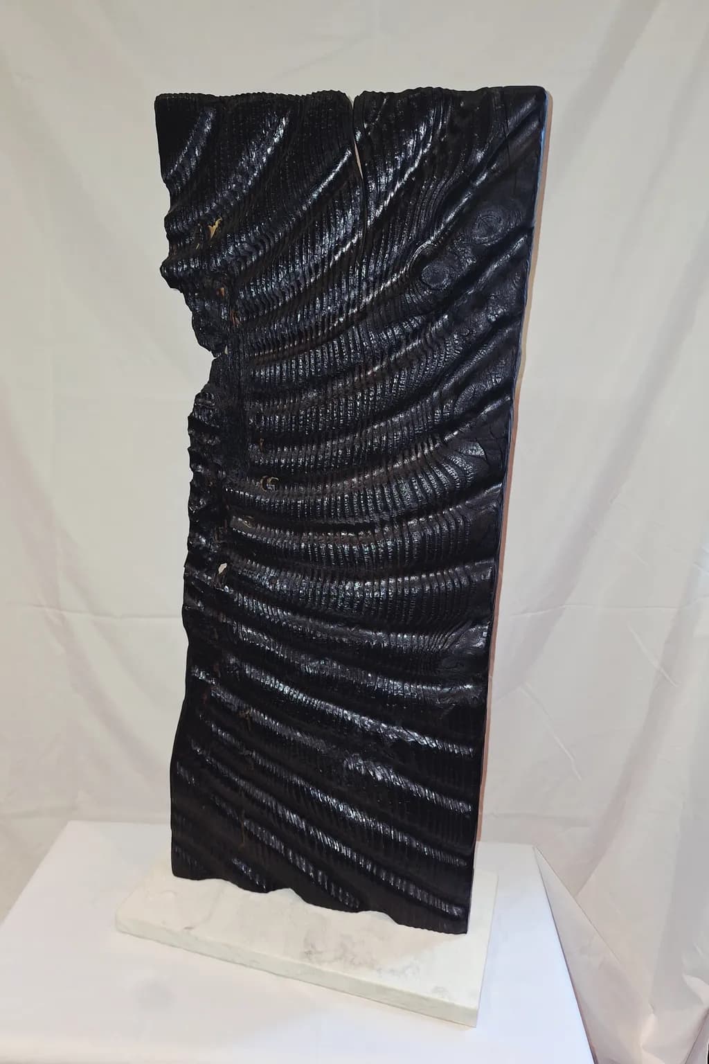 Charred Wood Column