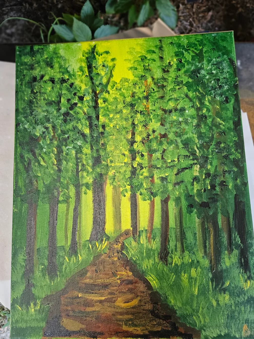 Forest Pathway
