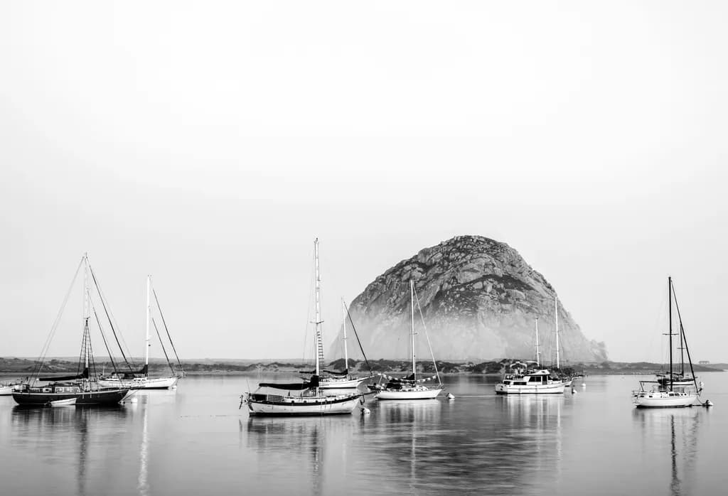 Harbor Stillness