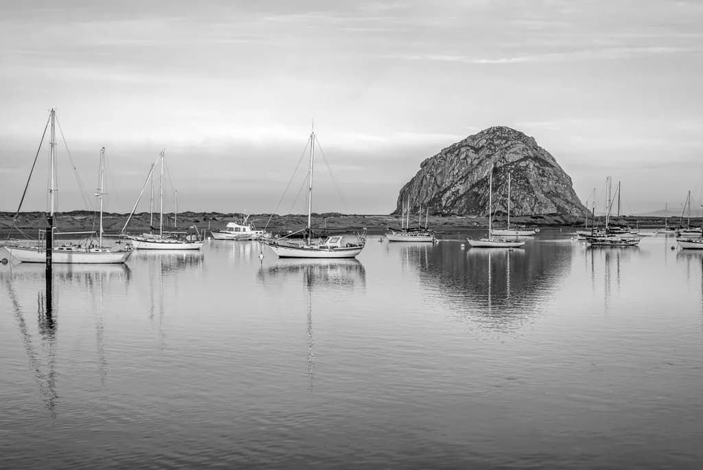 Harbor Stillness