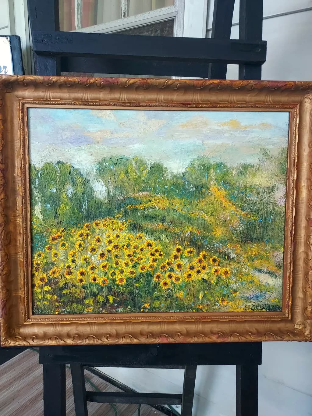 Sunflower Meadow Path