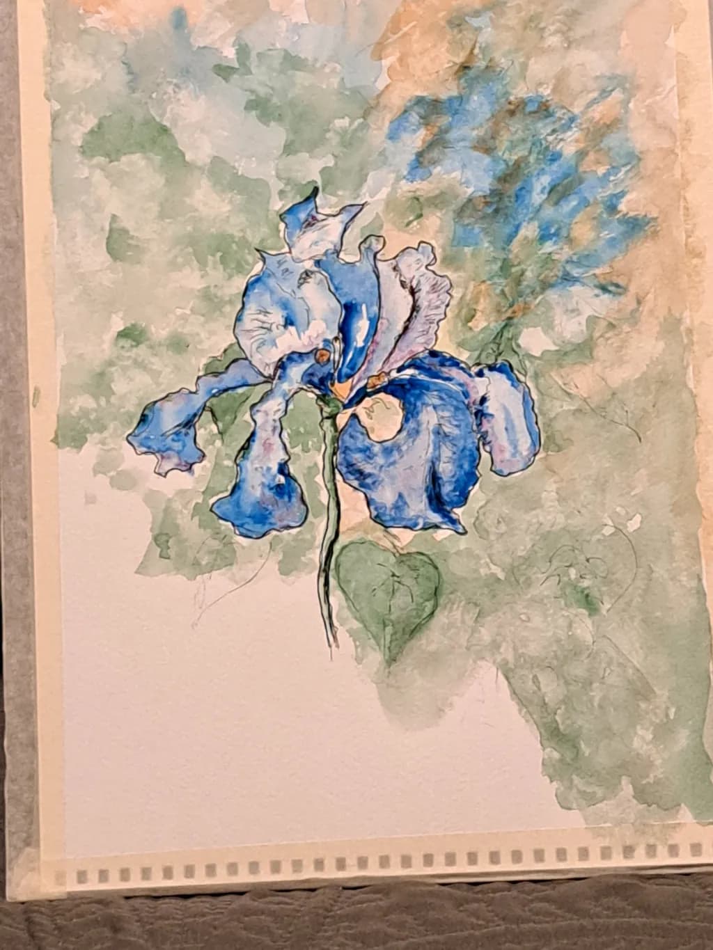 Blue Iris Bloom