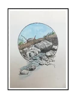 River Stream Rocks