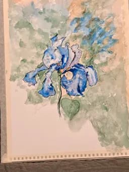 Blue Iris Bloom