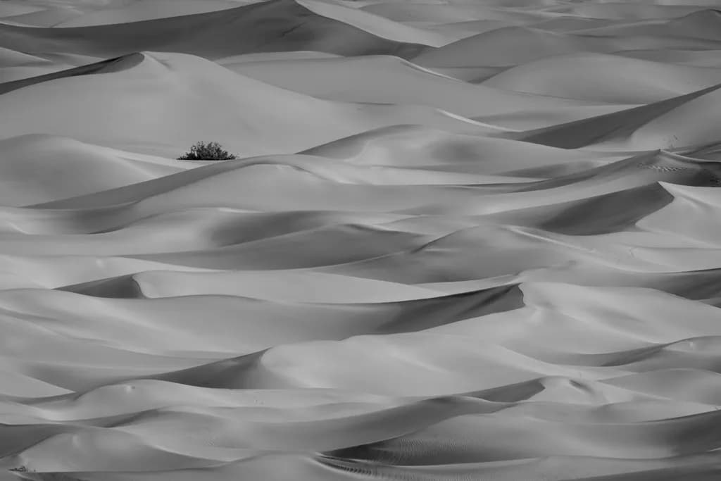 Mesquite Dunes