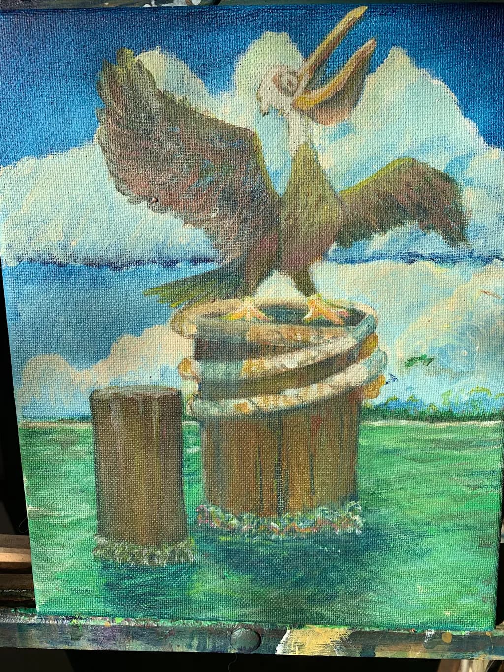 Pelican Perch